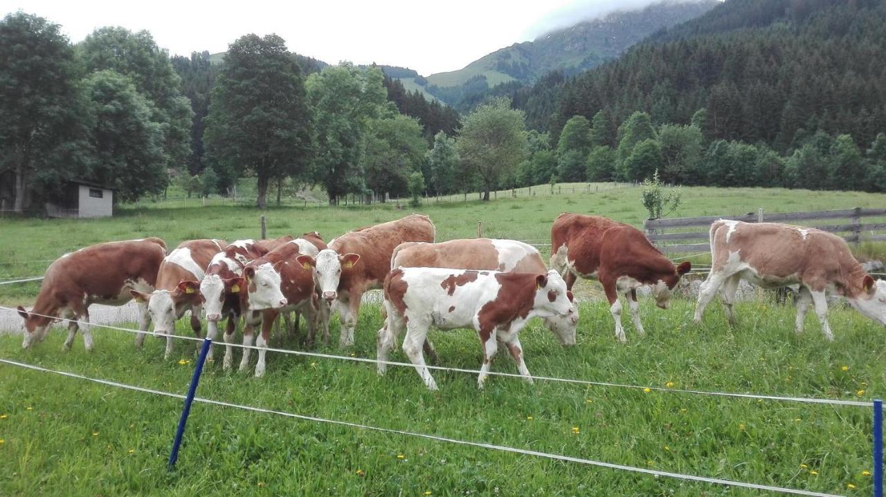 Schiessling Hof Villa Oberndorf in Tirol Dış mekan fotoğraf