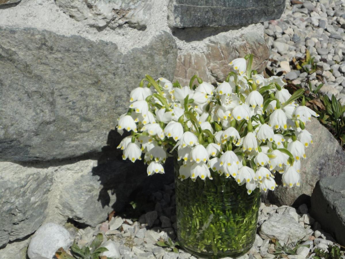 Schiessling Hof Villa Oberndorf in Tirol Dış mekan fotoğraf